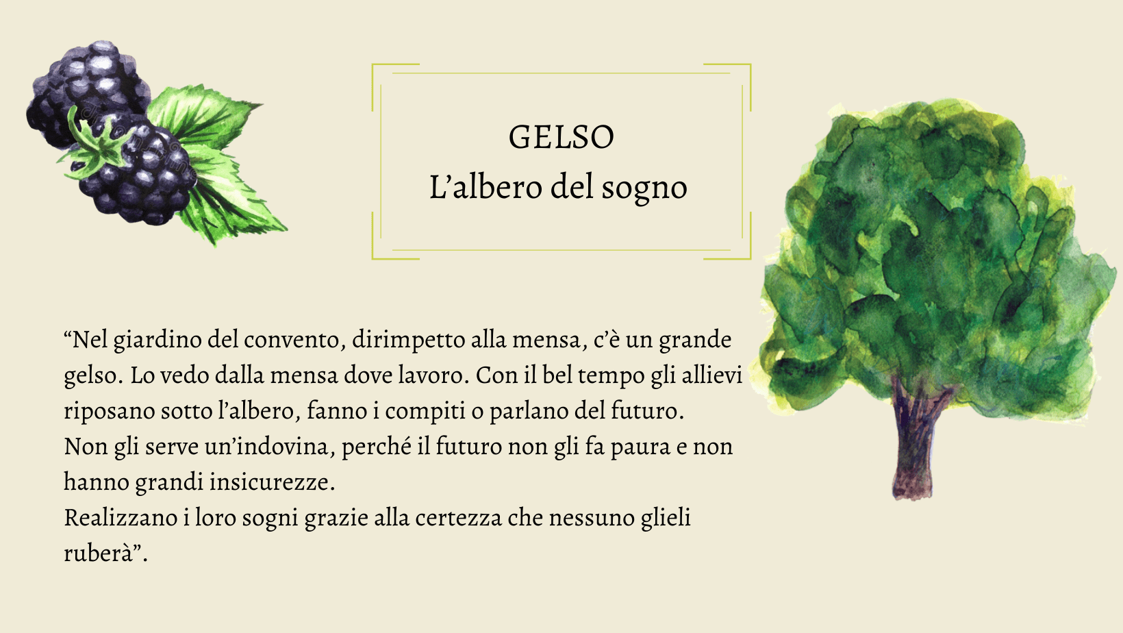 Oltre le pagine di... In terra straniera gli alberi parlano arabo