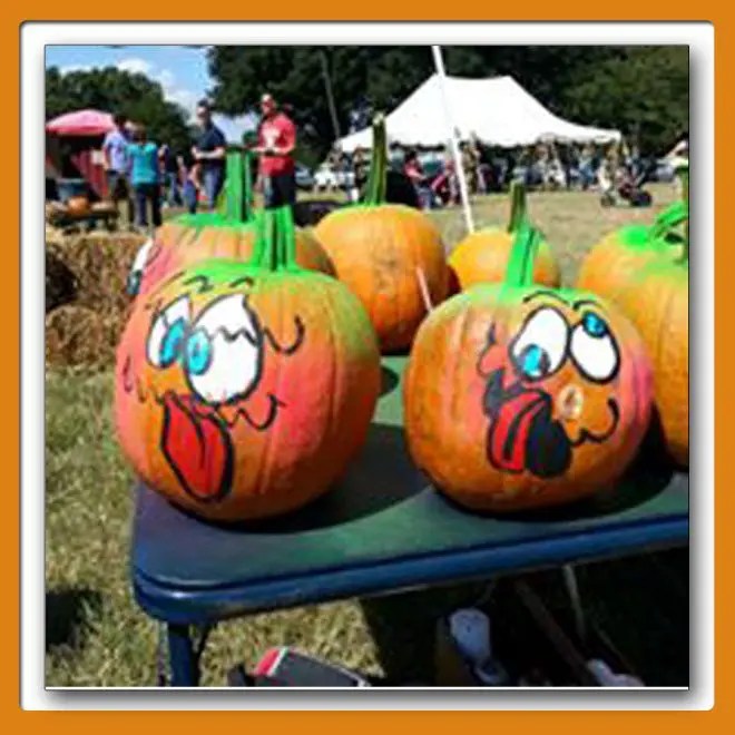 Hall Family Farm Marcus Bowden