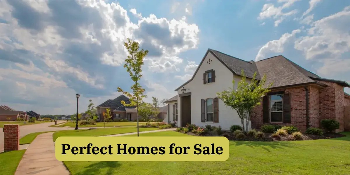 Ultimate Guide to Finding the Perfect Homes for Sale A Personalized