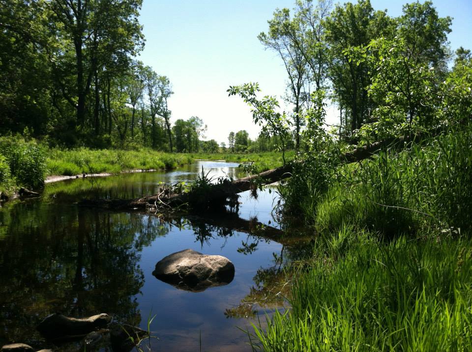 Pine Creek Land Stewardship Marek Landscaping