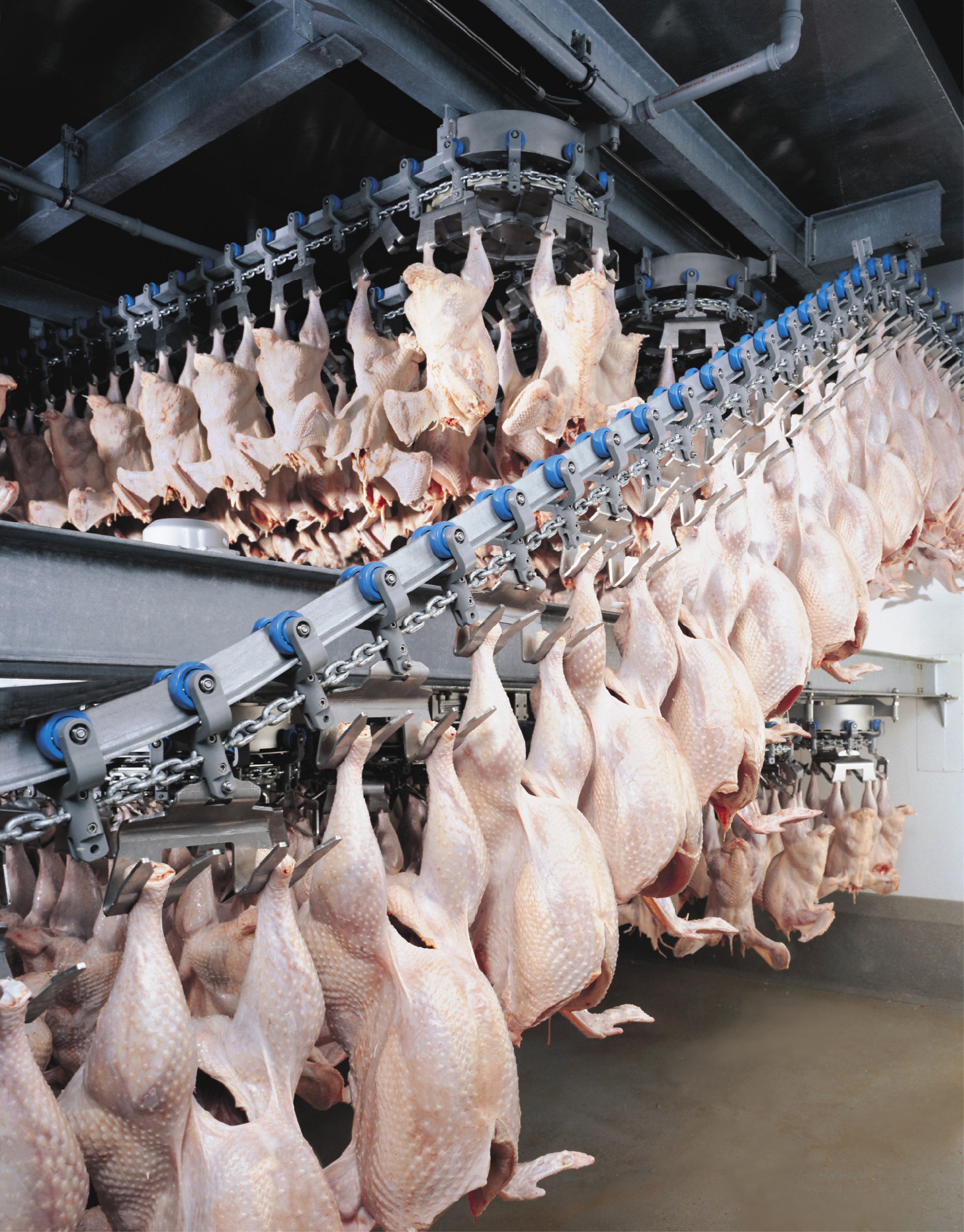 Prestage Farms builds a reference turkey plant Marel