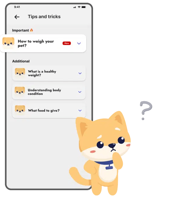 Marengo Médaille Marengo pour animaux