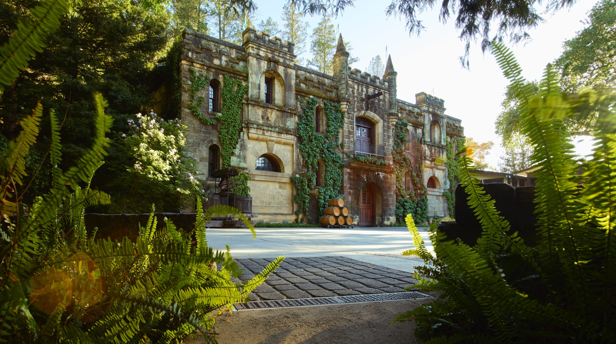 Chateau Montelena and Wine Pairing