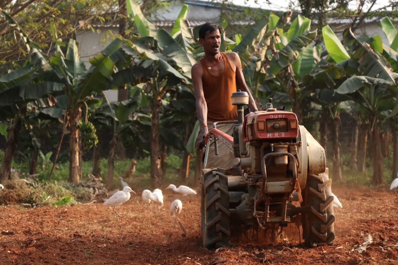 Agriculture in Odisha by 2036 Fan the Winds of Change! Marg Advisory