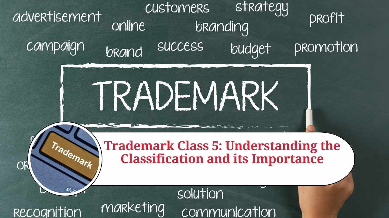 Trademark Class 5 Understanding the Classification and its Importance