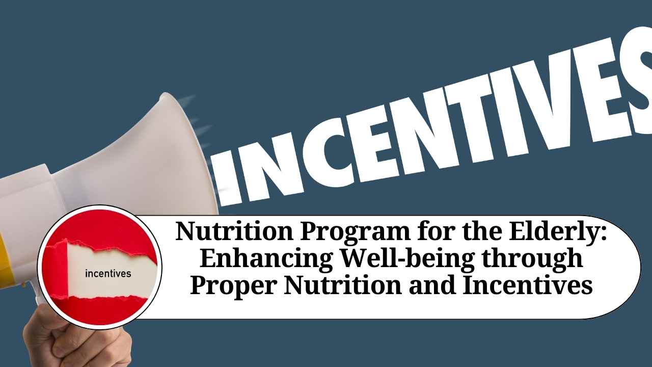 Nutrition Program for the Elderly Enhancing Wellbeing through Proper