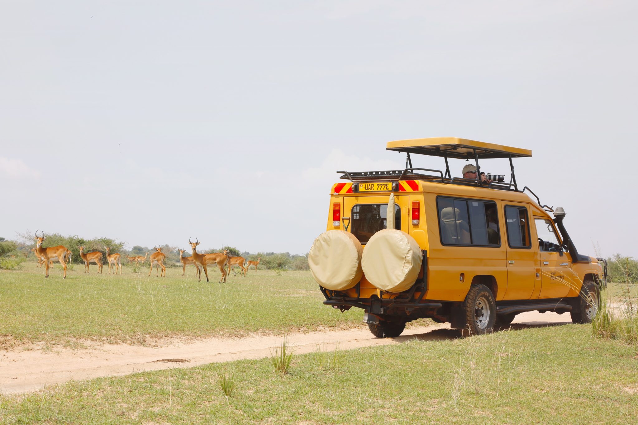 ULTIMATE GUIDE TO PLANNING YOUR FIRST AFRICAN SAFARI Mar Gone Wild