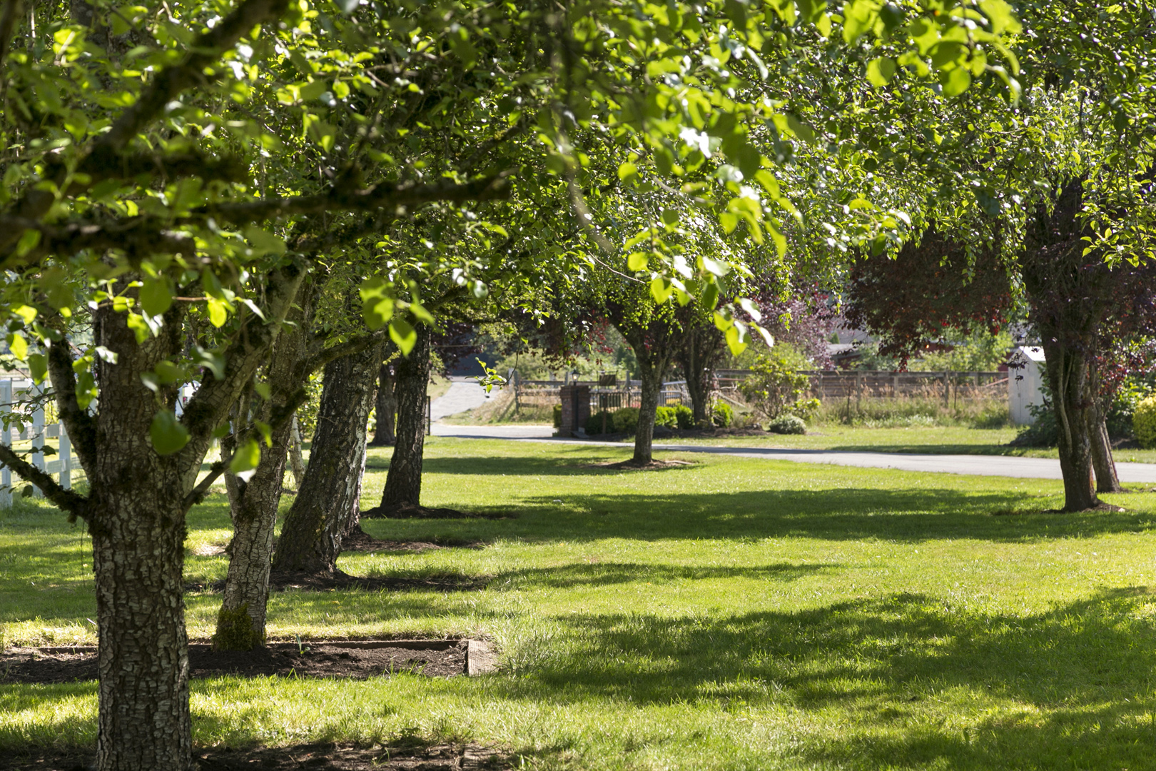 Tremendous 6.48 level acres in Issaquah Maria Danieli Windermere