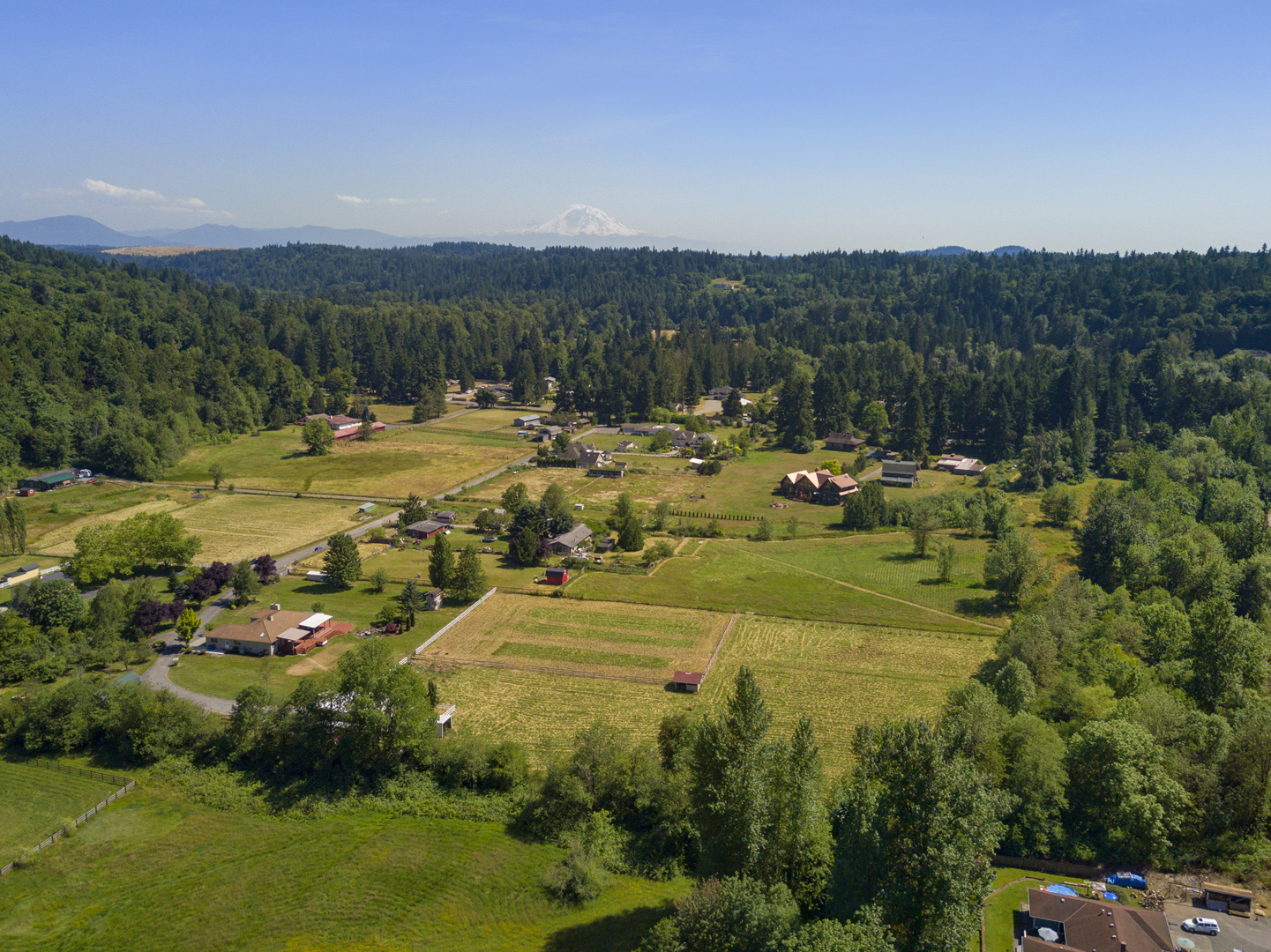 Tremendous 6.48 level acres in Issaquah Maria Danieli Windermere