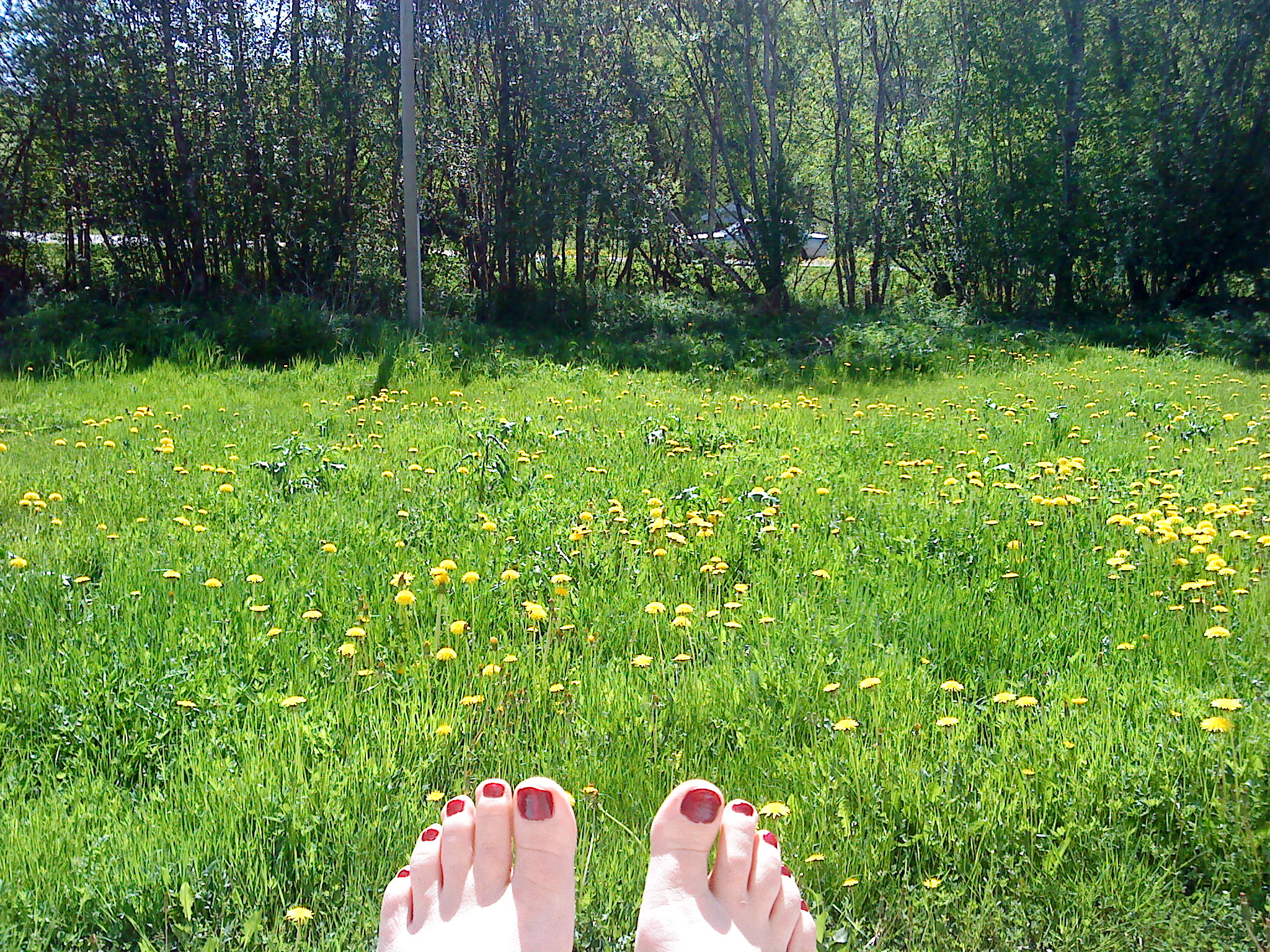 Spending Time In Nature Maria Erving