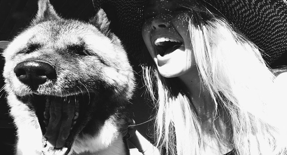 Mariah Akitas Akita Breeder Indianapolis, IN