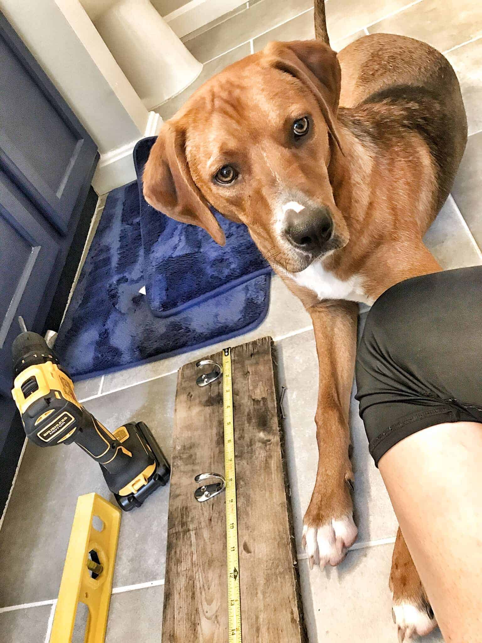 home decor styles classy living rooms