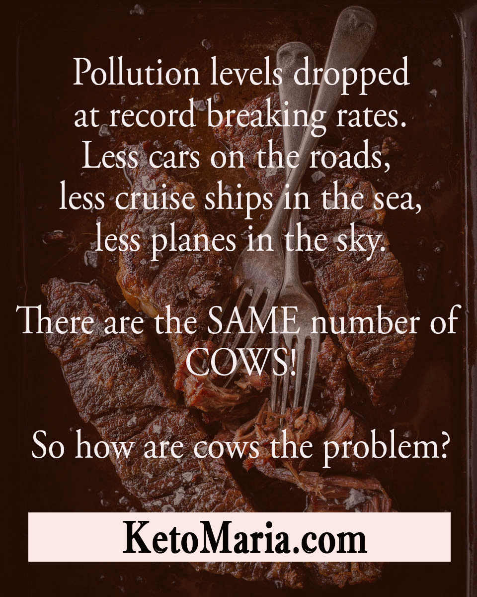 Is Eating Meat Bad for the Environment? Maria Mind Body Health