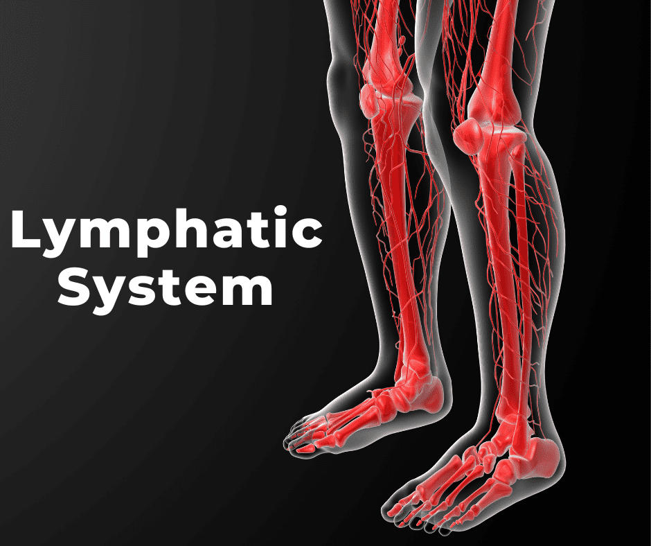 ANKLE PUMPS EXERCISE Reduce Swelling After Knee Surgery