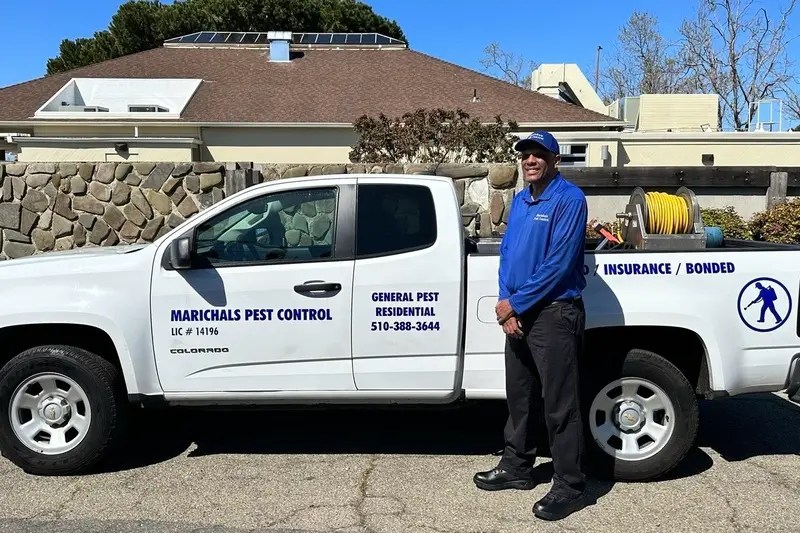 Marichals Pest Control Pest Control Services in the East Bay