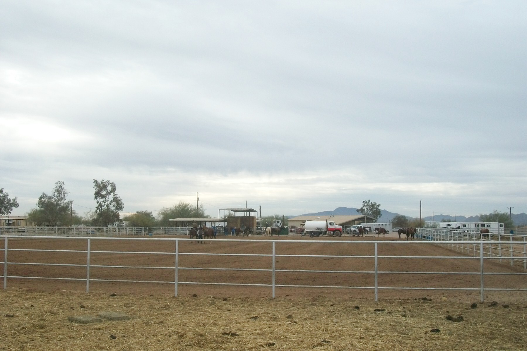 Hidden Valley Homes for Sale in Maricopa AZ Maricopa Horse Real