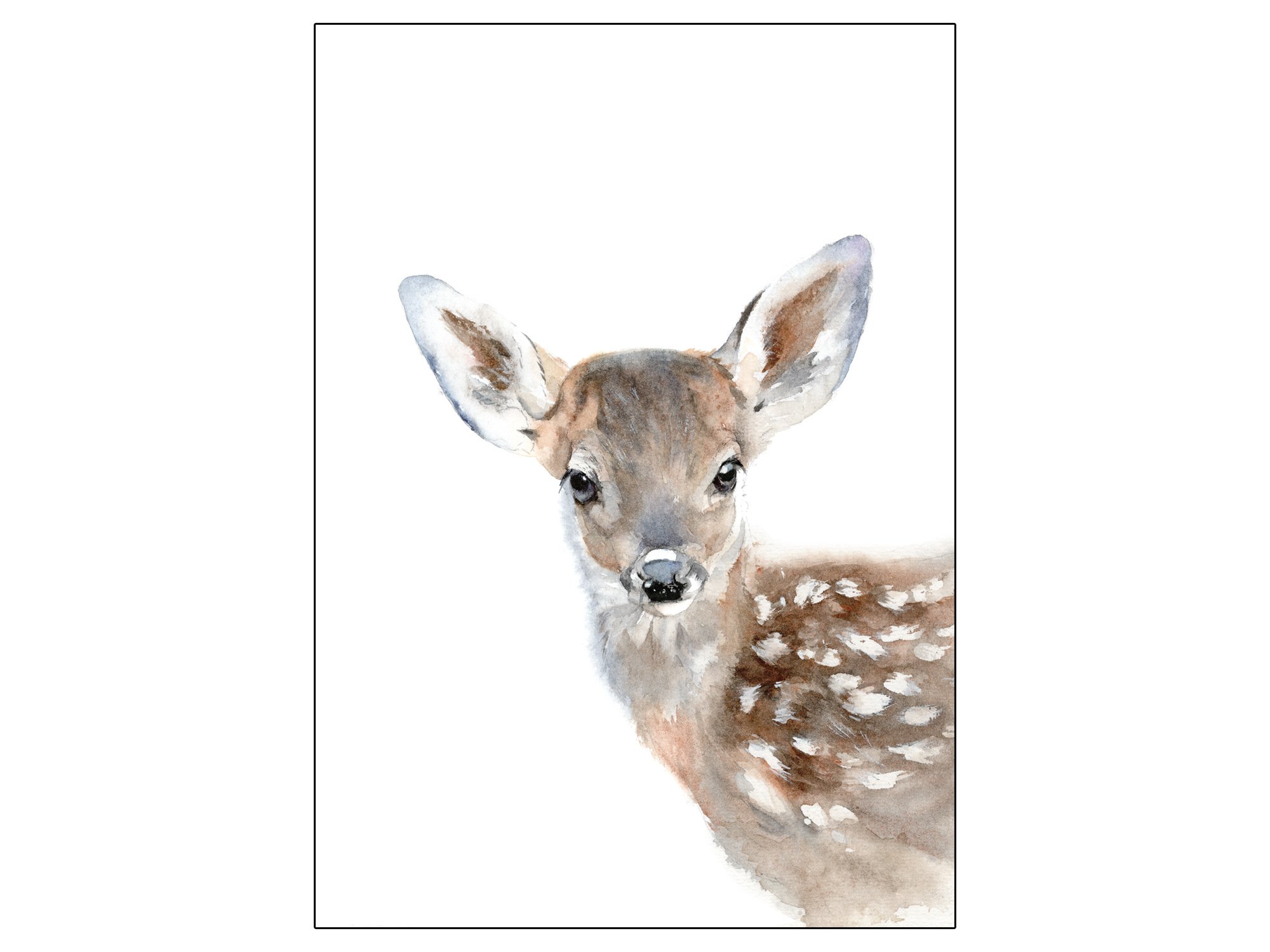 'Baby Dee'(Fawn) Print Marie Brown Fine Art