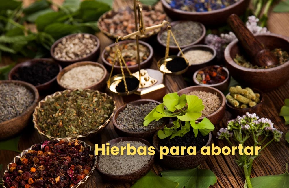 Hierbas para abortar Marie Stopes México