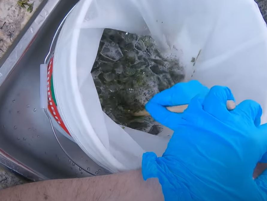5 Easy Ways To Make Hash at Home Marijuana Science