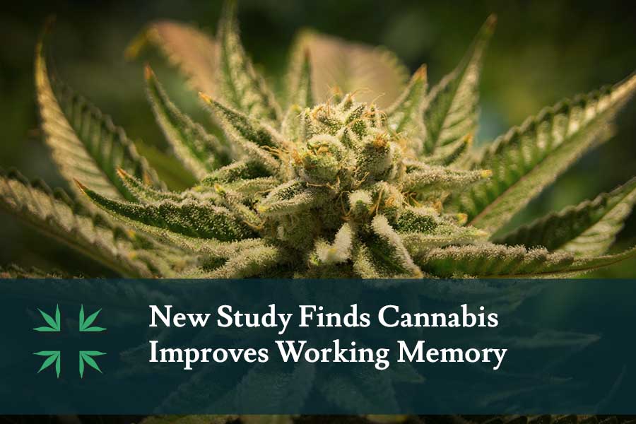 New Study Finds Cannabis Improves Working Memory Marijuana Patient Card