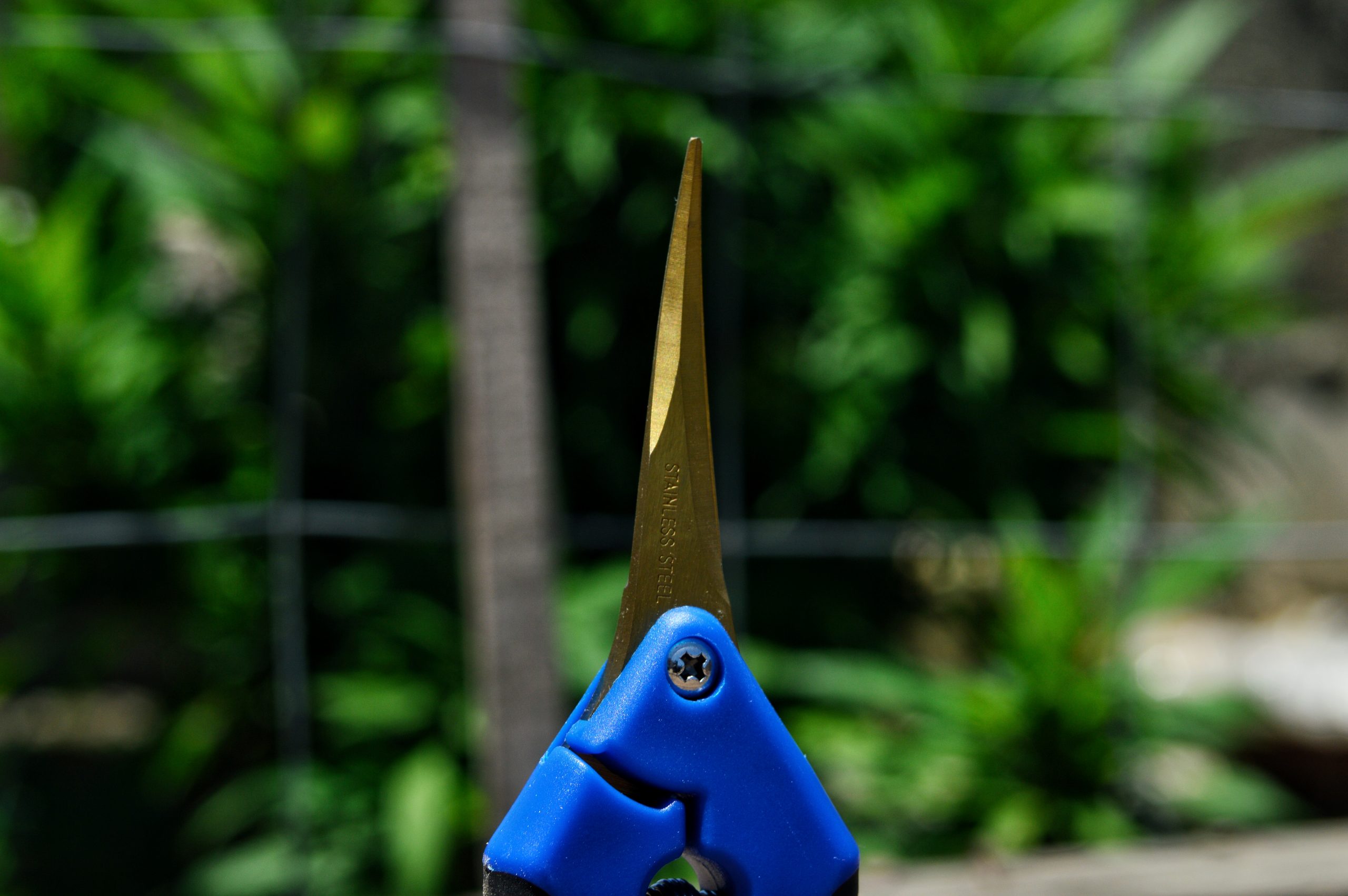 Curved Trimming Scissors Marijuana SA