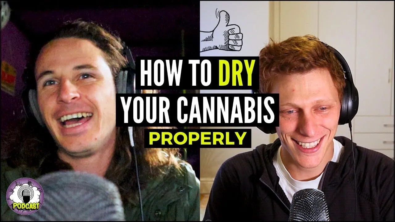 The Importance of Drying and Curing Cannabis! Tips and Tricks