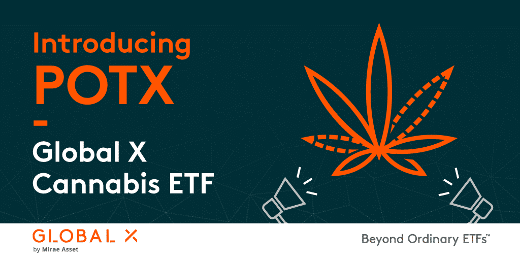 3 Of The Best Marijuana ETFs in 2021 Marijuana Stocks Cannabis