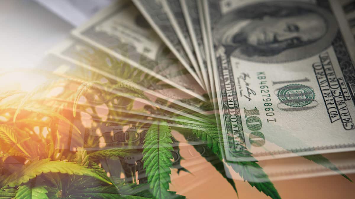 2021 Hot Marijuana Stocks To Watch In The Cannabis Sector Marijuana