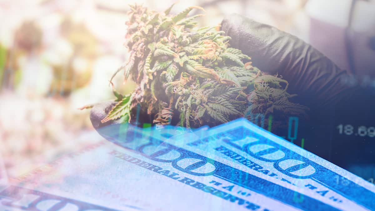 Top Marijuana Stocks To Buy Right Now? 2 Stocks You May Not Know About
