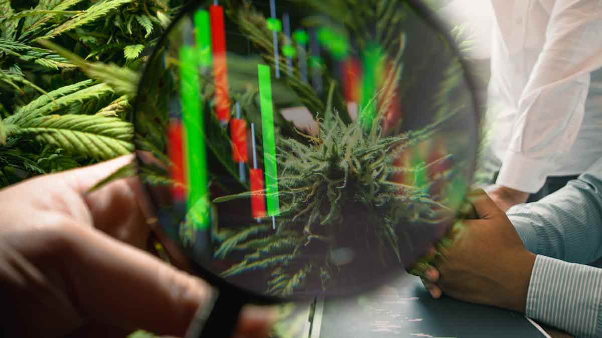 The Best US Marijuana Stocks To Watch In 2022 Right Now