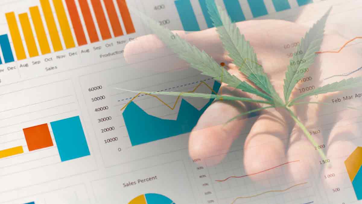 Top Canadian Marijuana Stocks To Buy? 3 To Watch Right Now