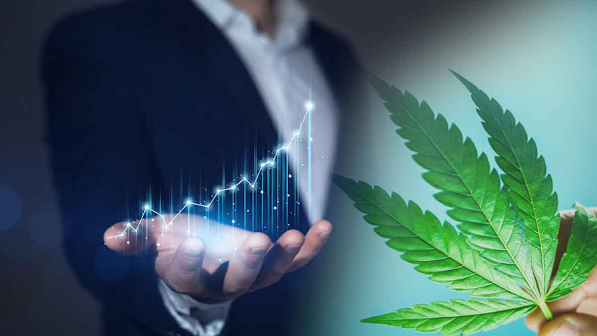 Top Marijuana Stocks To Watch Before The Start Of Next Week