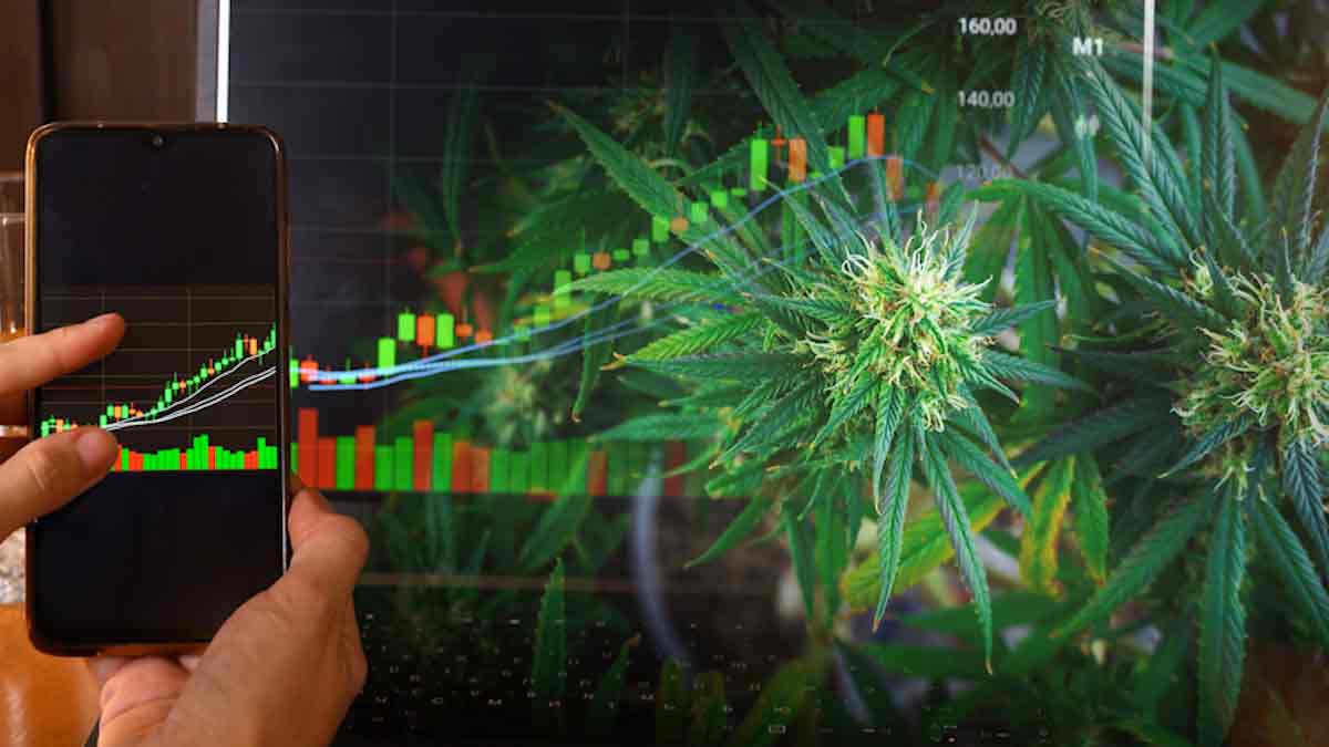Investing In Marijuana Stocks Right Now? 4 Cannabis ETFs For Long Term