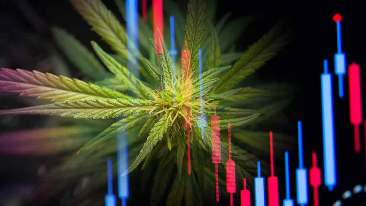 3 Marijuana Stocks To Watch During The 2nd Week Of 2023
