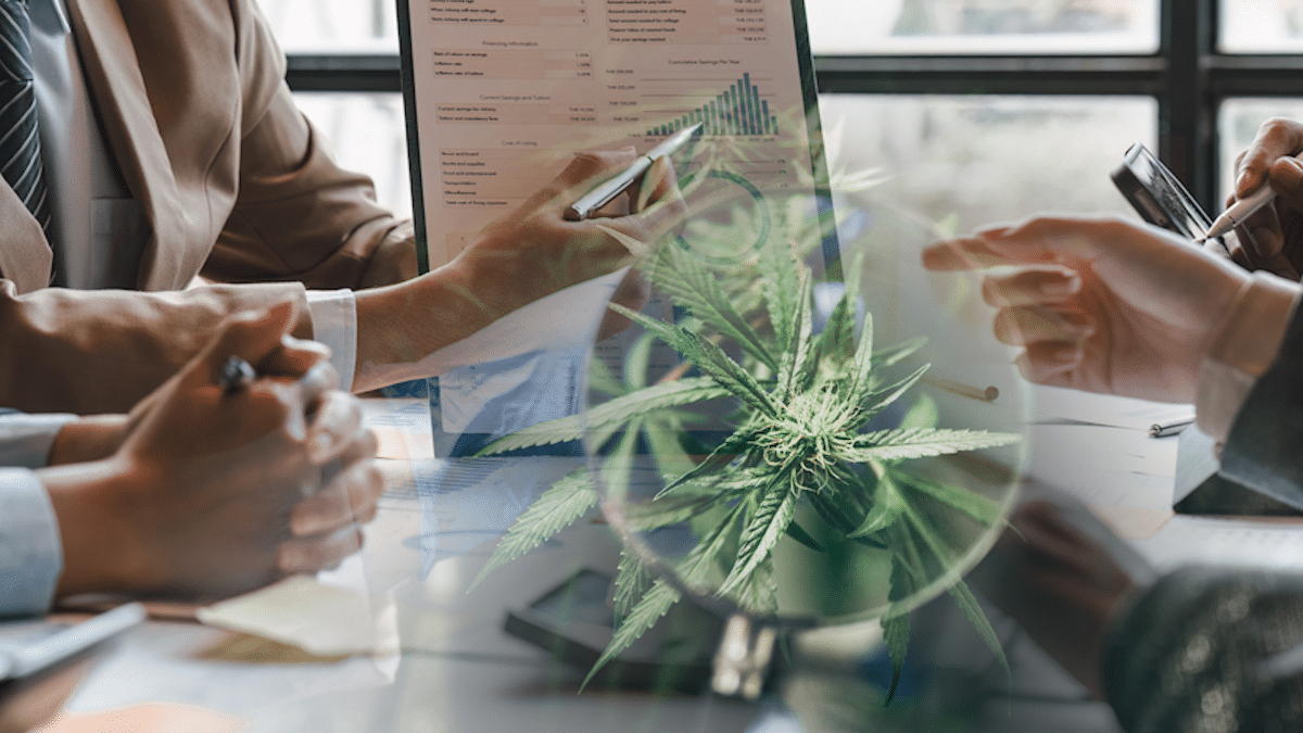 3 Top Canadian Marijuana Stocks To Watch MidMarch Marijuana Stocks