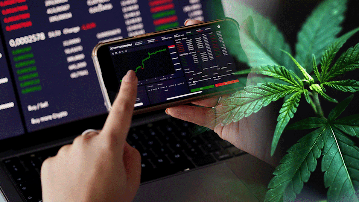 What the Future of Legal Cannabis Looks Like in the U.S. Marijuana