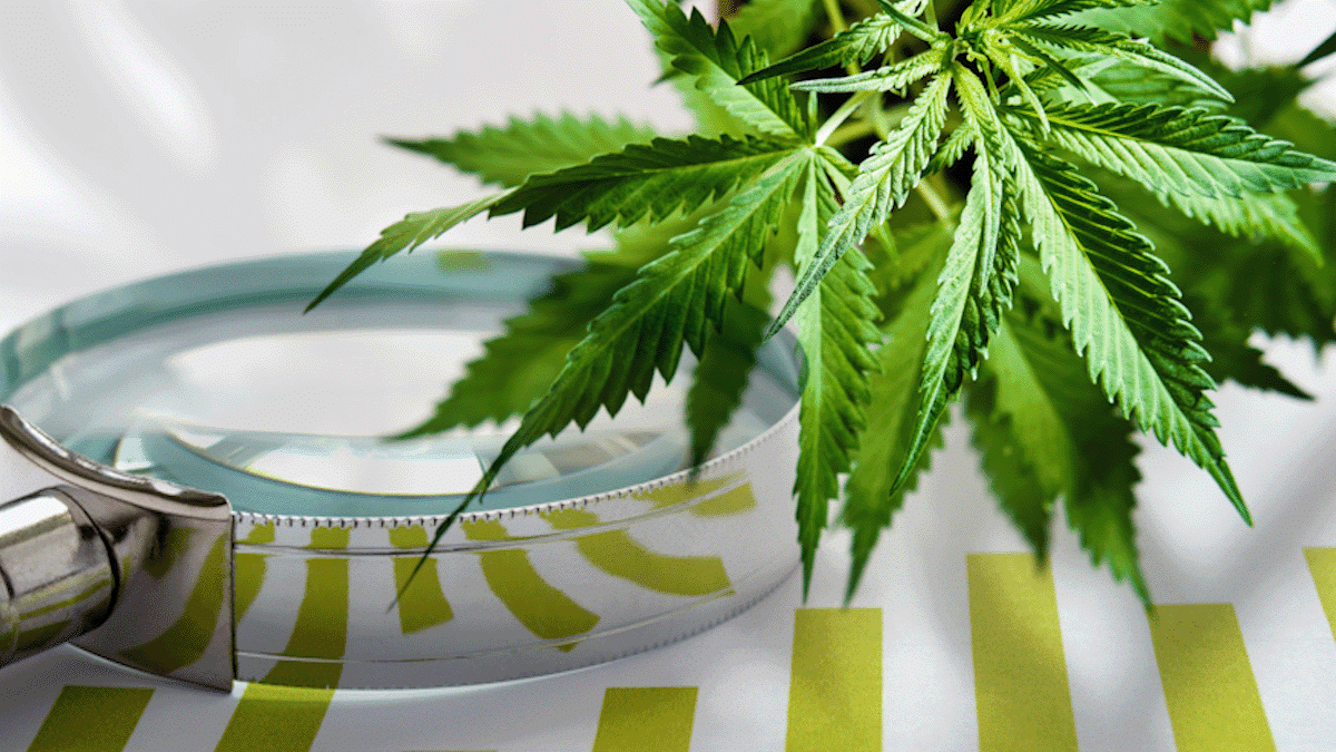 2 Marijuana Stocks To Buy To Start The Week?