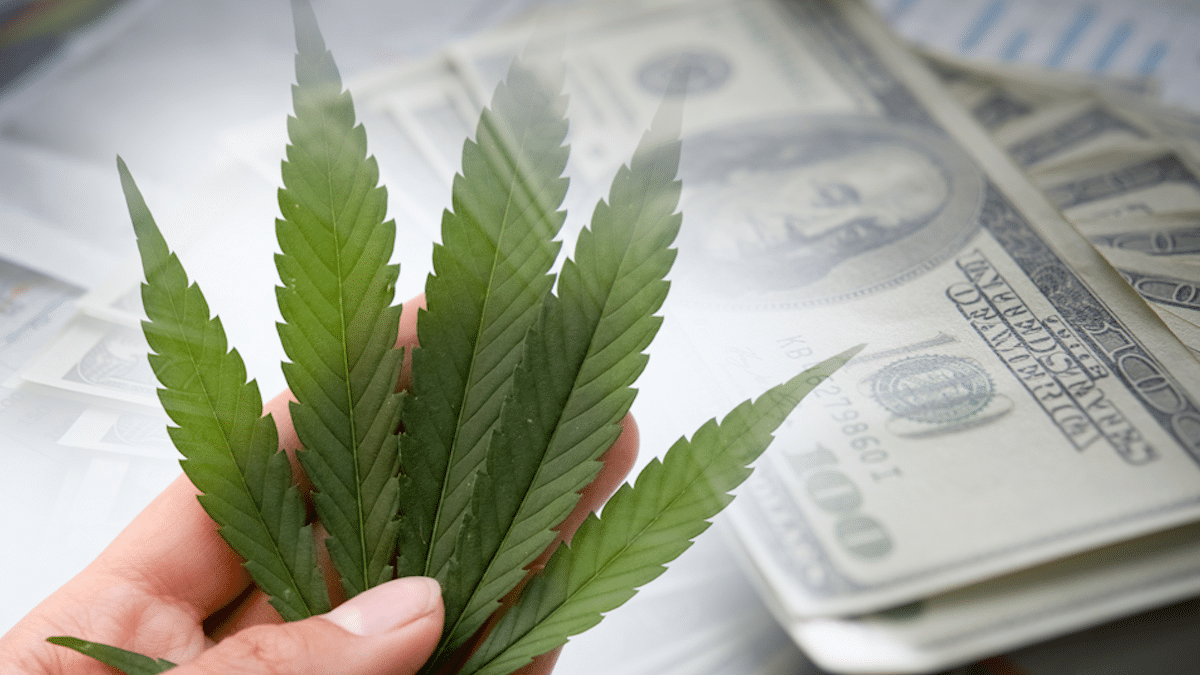 Top Marijuana Stocks Investors Should Watch This Month for Big Gains