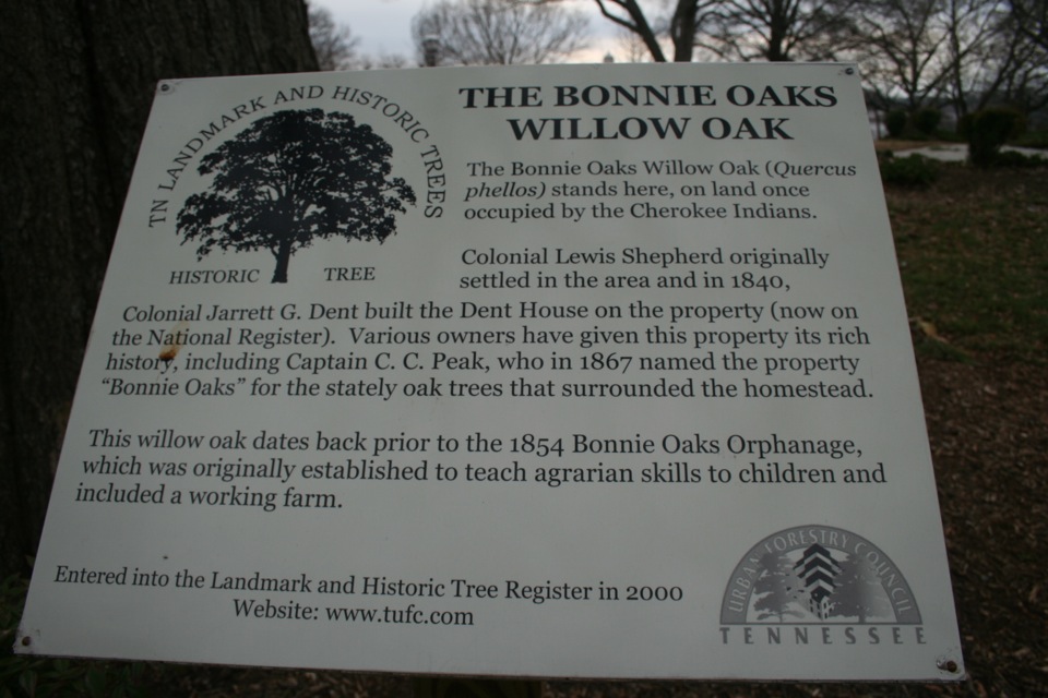 Bonnie Oaks Arboretum « A Tout le Monde