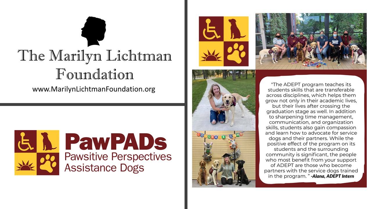 Pawsitive Perspectives Assistance Dogs The Marilyn Lichtman Foundation