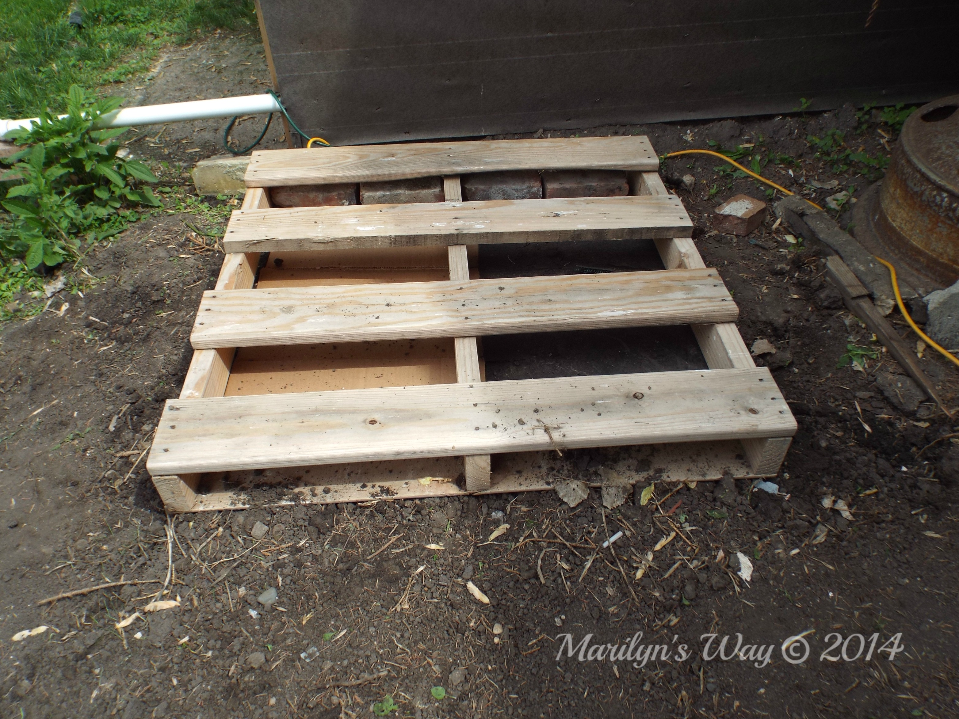 Raised Strawberry Bed Marilyn's Way