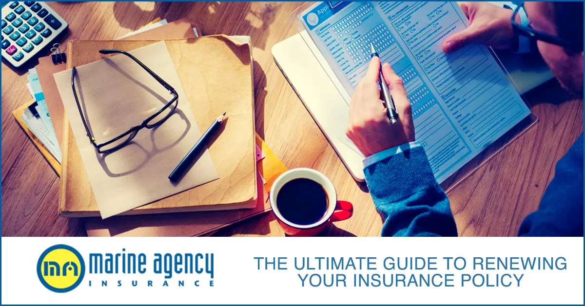 The Complete Guide Insurance Policy Renewal Process