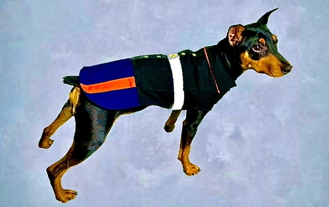 Dog Clothing Dress Blue Uniform