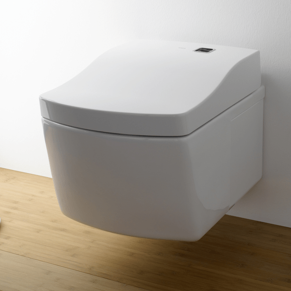 Toilet Installer New Toilet Installation Toilet Replacement