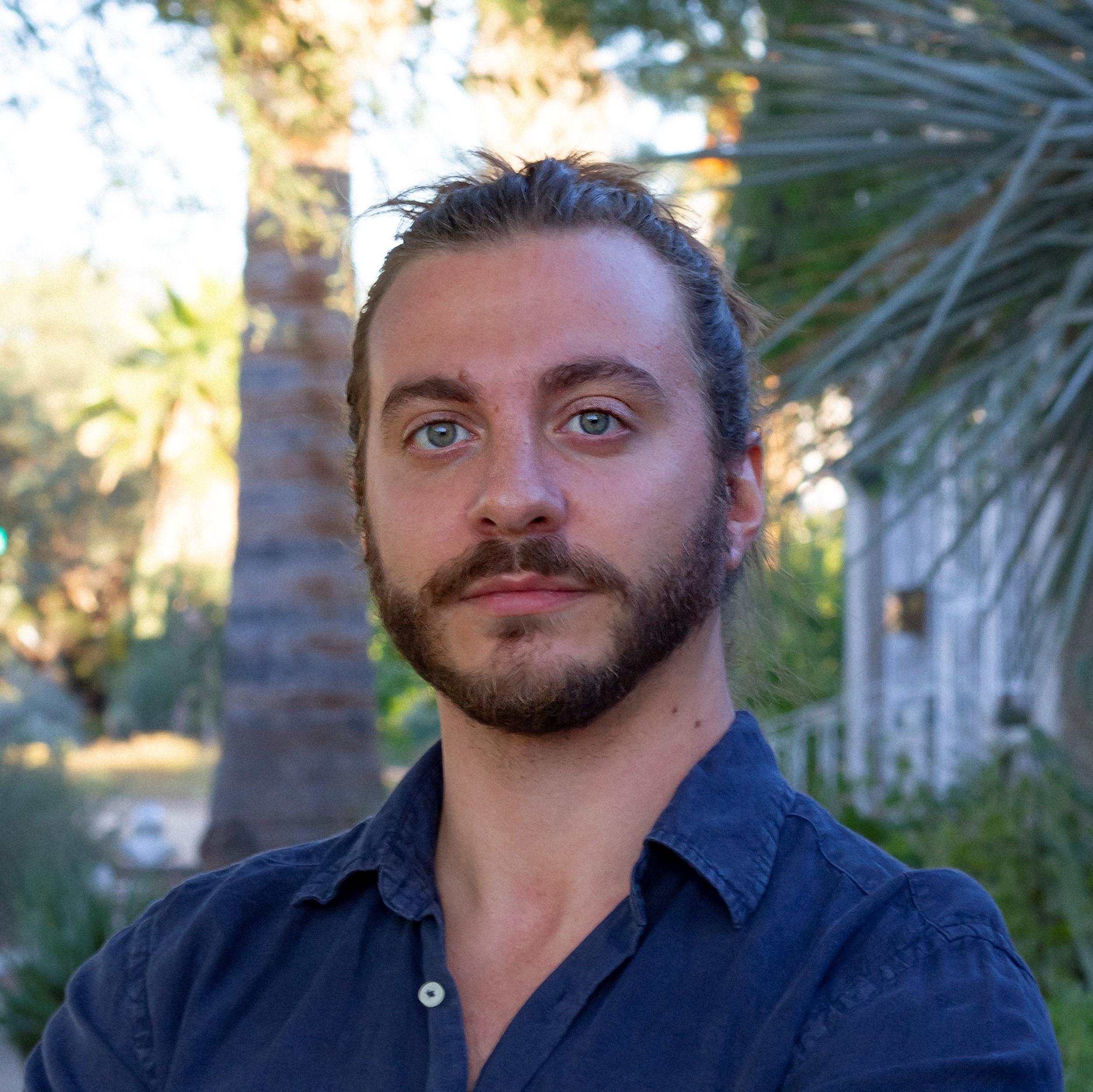 Publications Mario De Florio