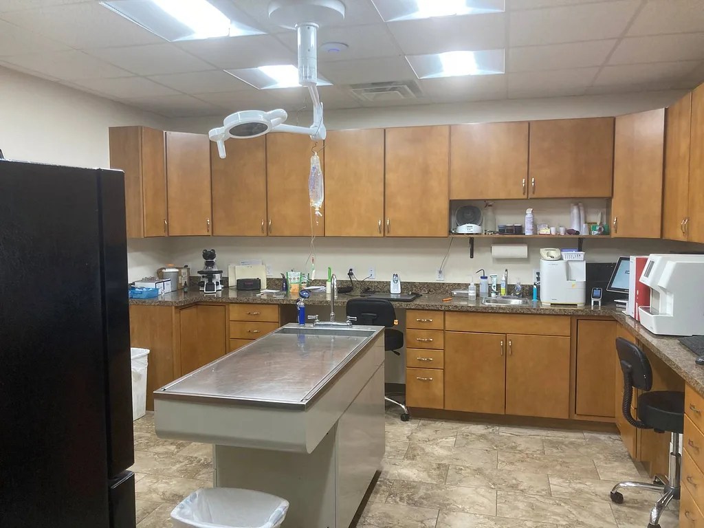 Clinic Tour Marion Animal Hospital