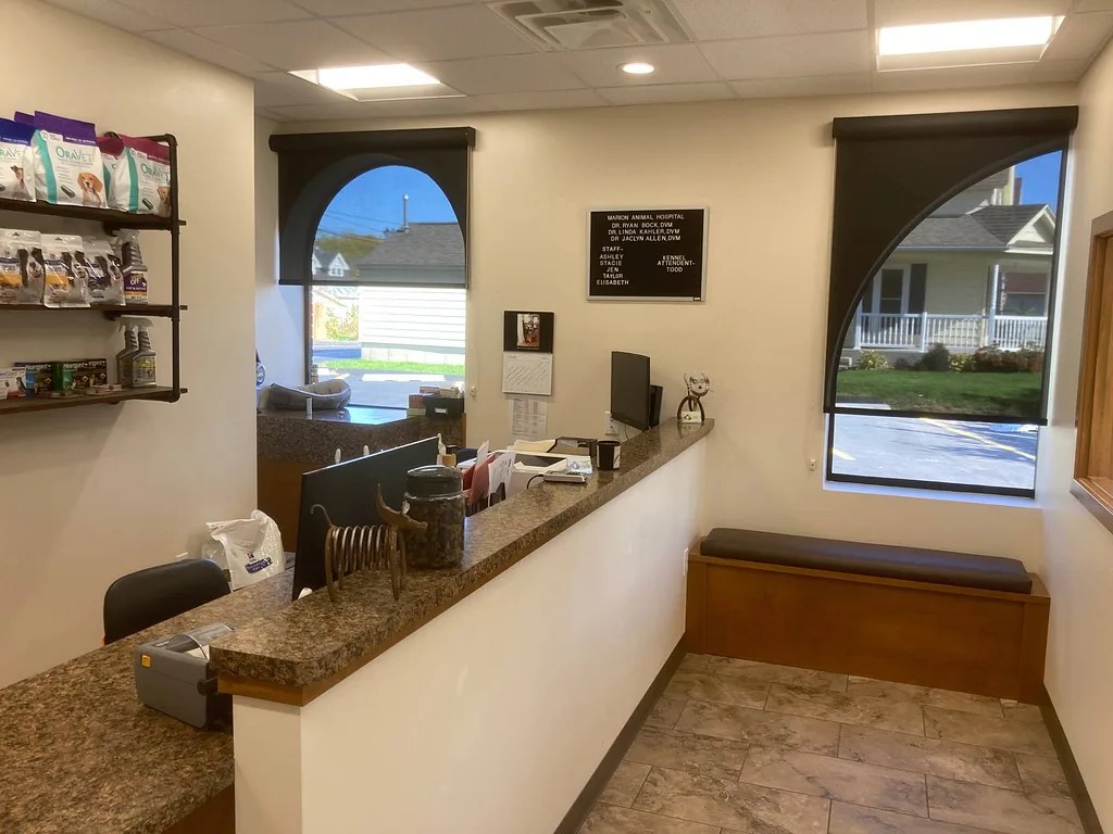 Clinic Tour Marion Animal Hospital