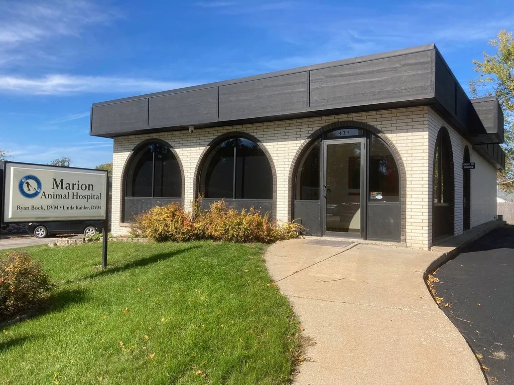Clinic Tour Marion Animal Hospital