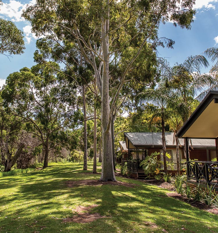 Marion Holiday Park Adelaide's Hidden Gem