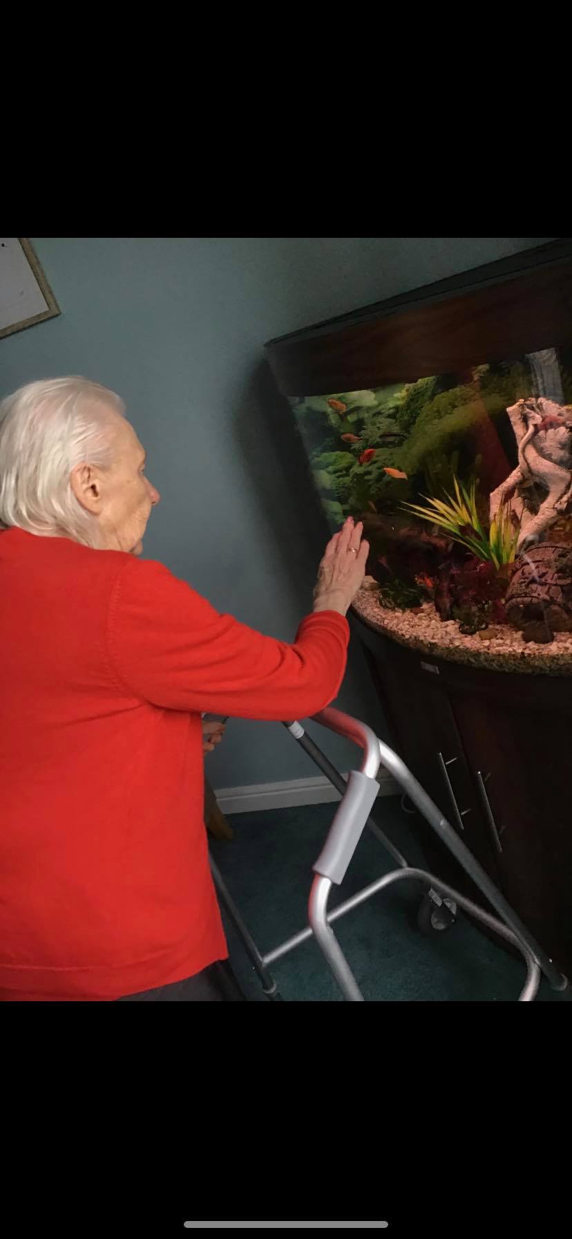 Kingston Court Nursing Home Elderly Care by Mariposa Care